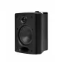 Настенная акустика Cabasse ZEF 17 Black